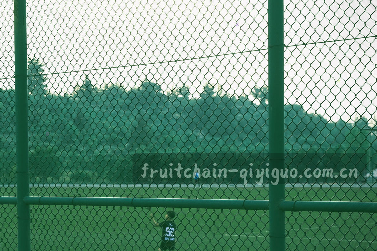 分选线上滚动向前的奇异果与旁边的预冷通道入口